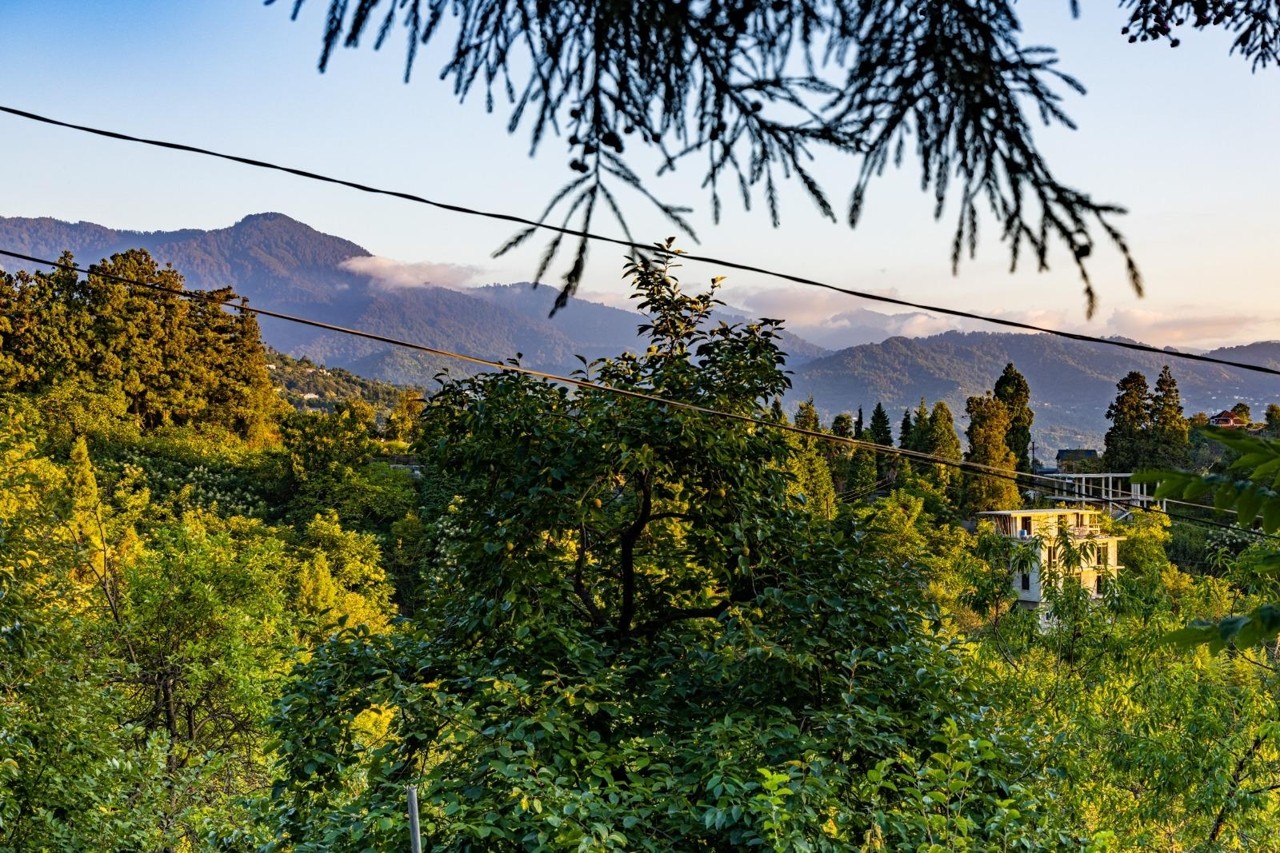 Kobuleti’de satılık arsa — 1.392 m² — $195.000 · 5/5