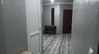 2-комнатная квартира — ул. Ангиса, 15