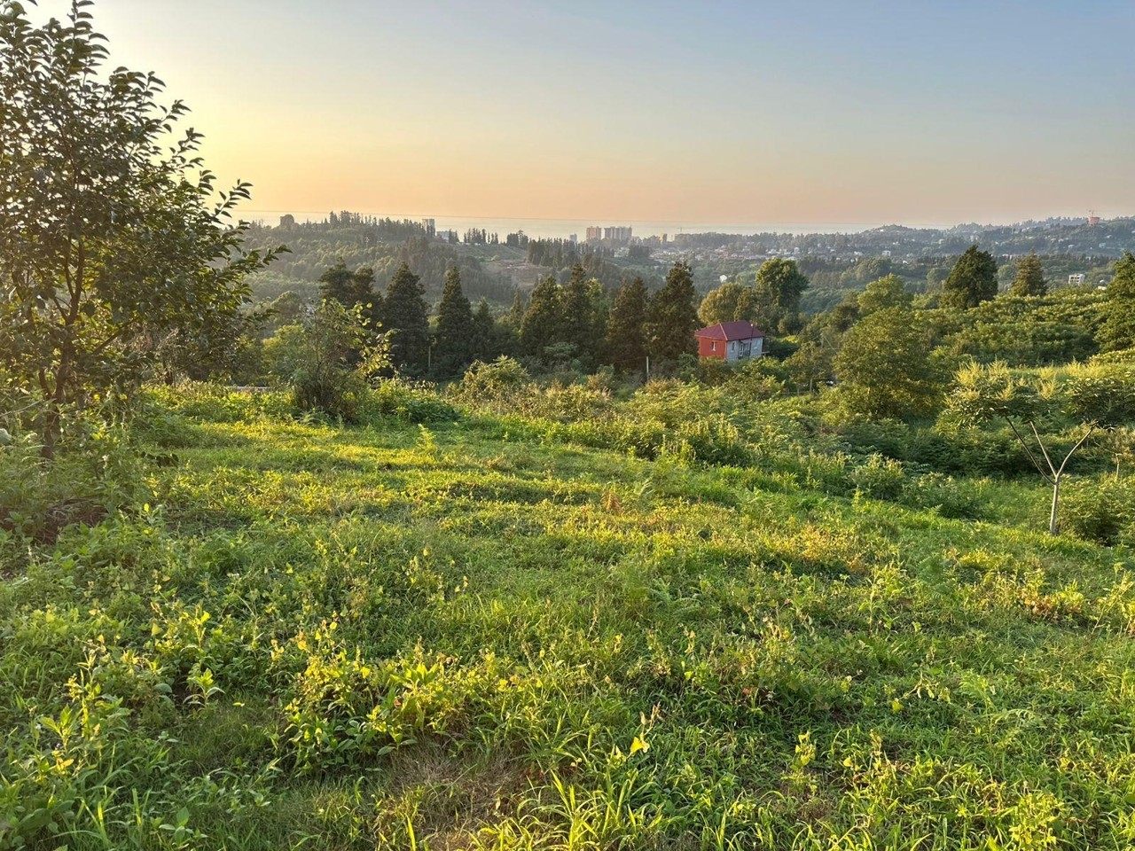 Chakvi’de satılık arsa — 1.900 m² — $95.000 · 3/5