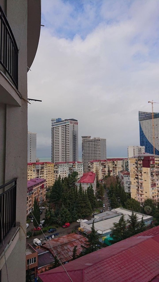 2-комнатная квартира — ул. Шалвы Инасаридзе, 7 · 8/9