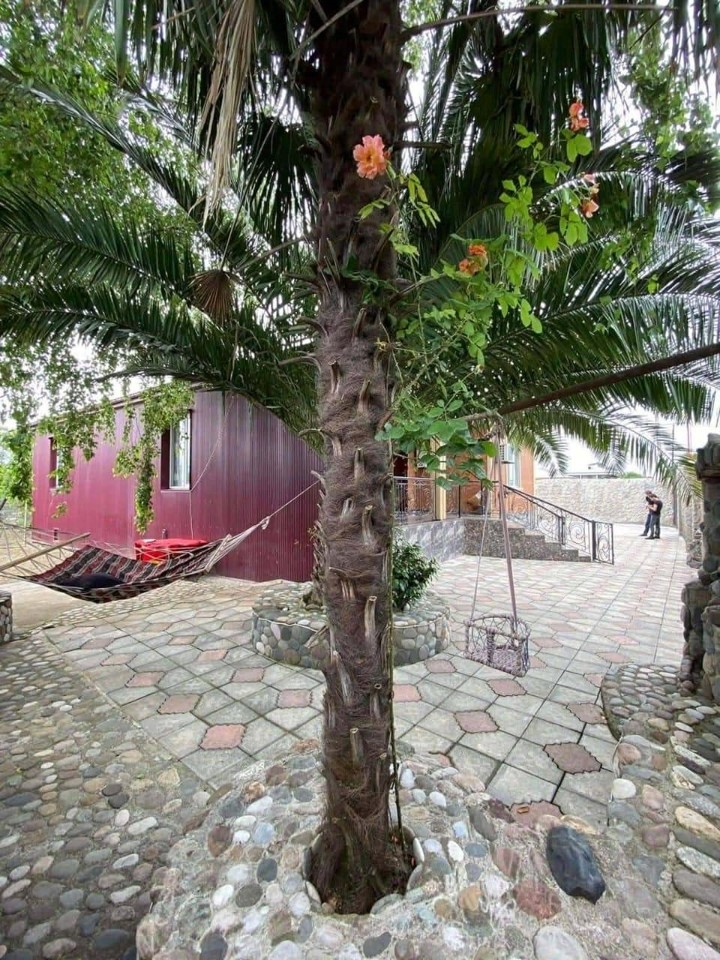 Batum’da kiralık 4 odalı ev — Adlia 1. Çıkmaz Sokak, 5 — 190 m² — $1.400/ay · 16/21
